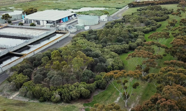 An aerial view of the “A Forest for Australia” installation showing the 3700 trees of several different species planted in five concentric circles.