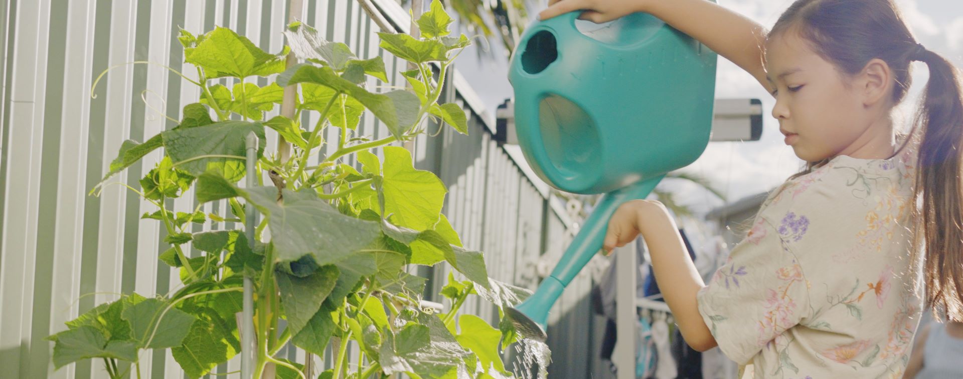 Girl watering plants in the garden with a watering can