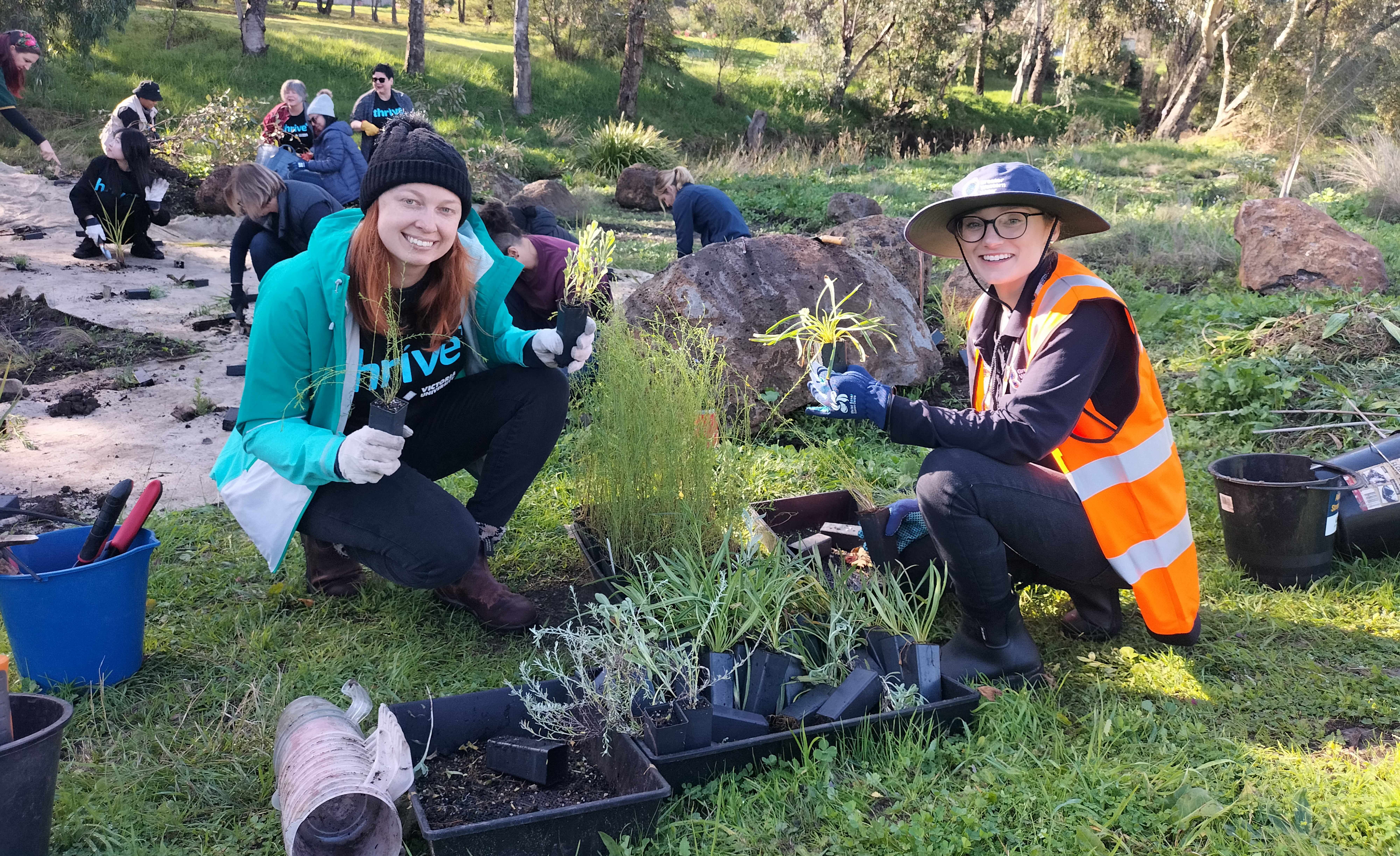 Two individuals happily participating in a tree planting event in a park, kneeling on the grass beside small plants ready for planting. One person wears a blue cap and a vest marked "Thrive," while the other is in a bright orange safety vest. Several other participants are in the background, engaging in similar activities.