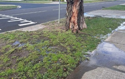 A suburban street nature strip shown with water leaking on to the footpath.