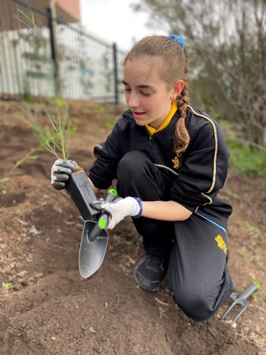A person is gardening, holding a small plant and a trowel, kneeling on soil. They are wearing a black tracksuit with yellow accents and white gardening gloves. There's a small rake nearby, and a metal fence is in the background.