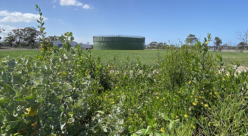 A Woody Meadow site at the West Werribee Recycled Water Plant