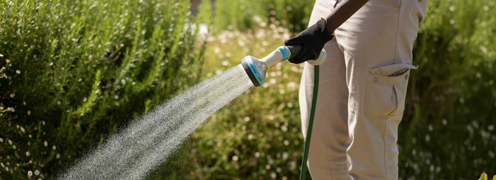 A person using a hose to water a lush green garden