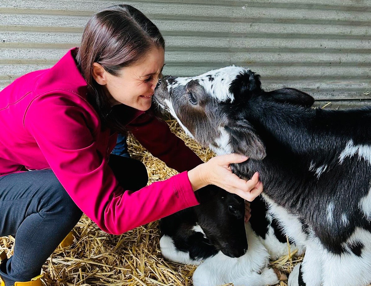 A person wearing a bright pink jacket and yellow gumboots crouches on straw bedding inside a farm shed, gently holding the head of a black-and-white calf. The calf touches noses with the person while another calf rests beside them. A corrugated metal wall forms the background.