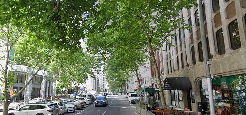 A photograph of Queen Street showing large trees and shops