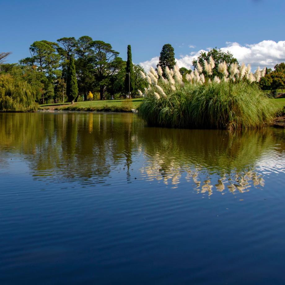 Water with greenery