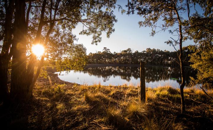 Photo of a GWW reservoir