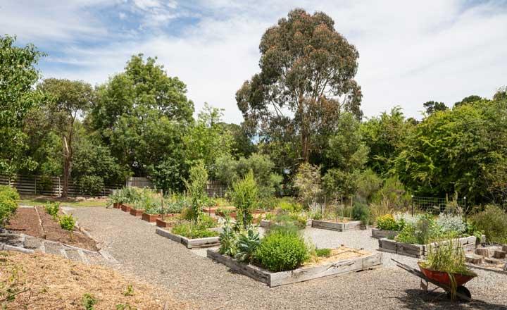 The Woodend Community Garden showing lots of trees and bushes.