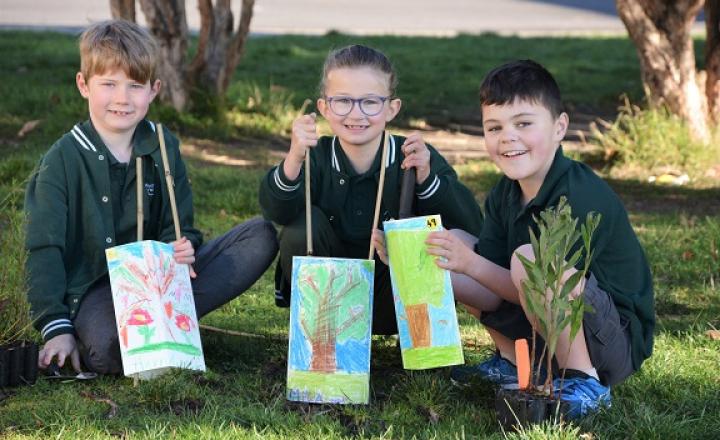 Students from Riddells Creek Primary School planting their trees last year 