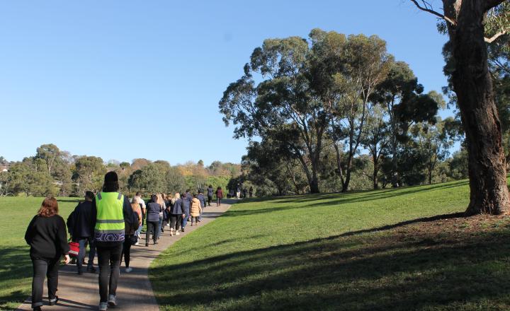 GWW staff walk in nature