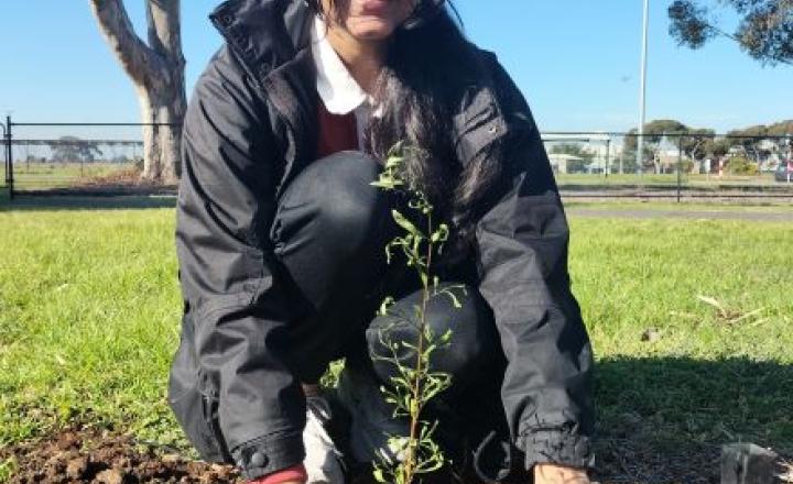 Student taking part in tree planting activities