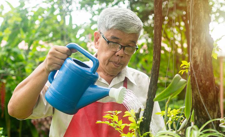 A happy and smiling Asian old elderly man is watering plants and flowers for a hobby after retirement in a home. Concept of a happy lifestyle and good health for seniors.