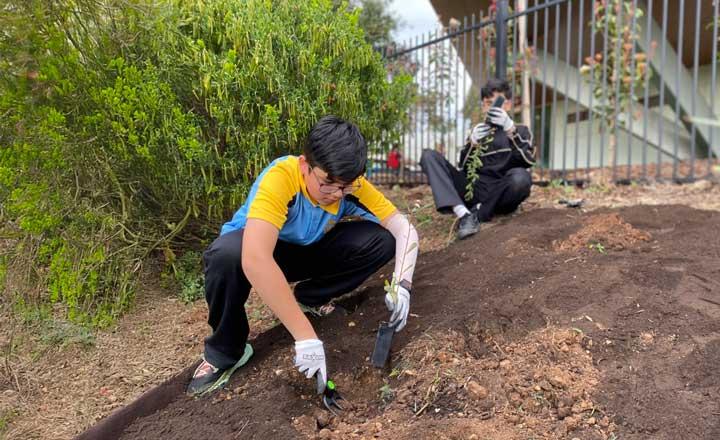 Two students planting tree shrubs in a garden.