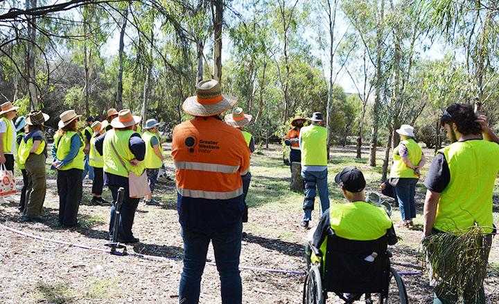 A Forest for Australia tour participants  