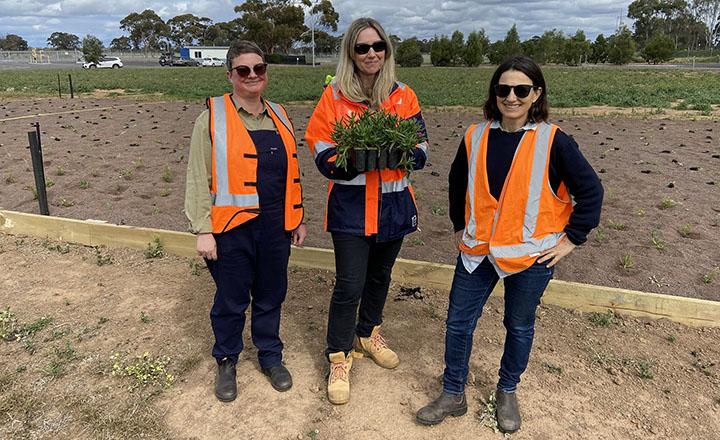 People involved in the first planting at the West Werribee Woody Meadow site.