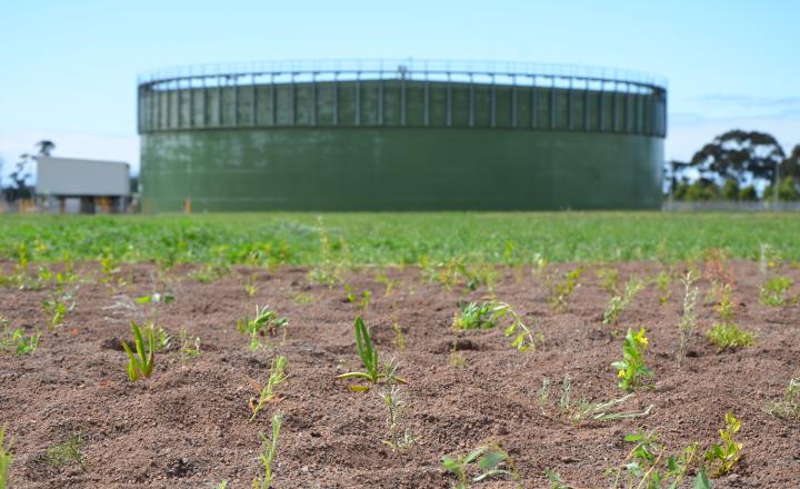 The West Werribee Recycled Water Plant