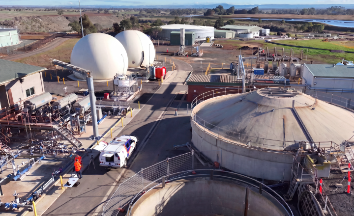 Melton RWP with domes
