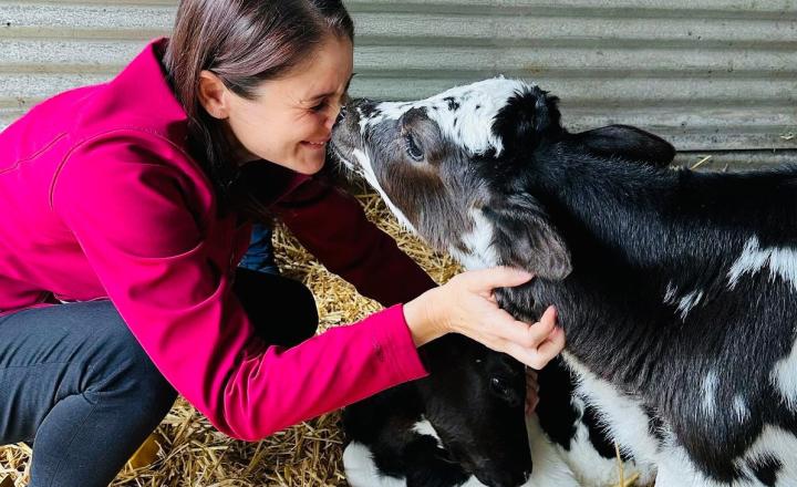 A person wearing a bright pink jacket and yellow gumboots crouches on straw bedding inside a farm shed, gently holding the head of a black-and-white calf. The calf touches noses with the person while another calf rests beside them. A corrugated metal wall forms the background.
