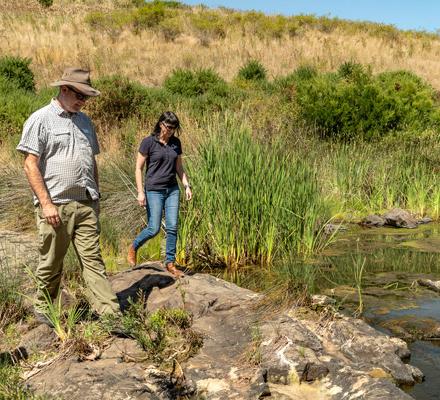 Two people walking through grassy bushland next to a creek