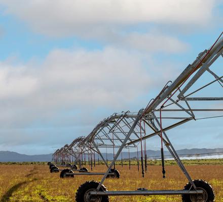 Image of a large irrigation sprinkler on wheels in a paddock
