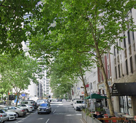 A photograph of Queen Street showing large trees and shops
